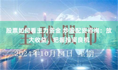 股票如何看主力资金 炒股配资咨询：放大收益，把握投资良机